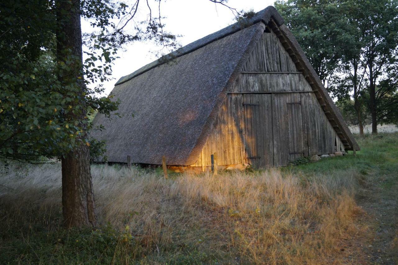 Ferienhaus Wahlers Bispingen Dış mekan fotoğraf
