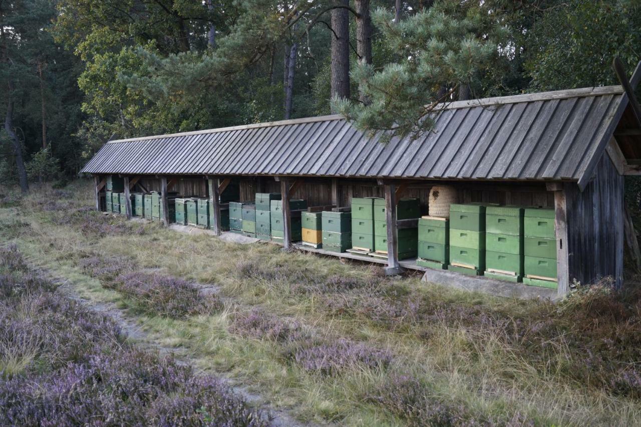 Ferienhaus Wahlers Bispingen Dış mekan fotoğraf