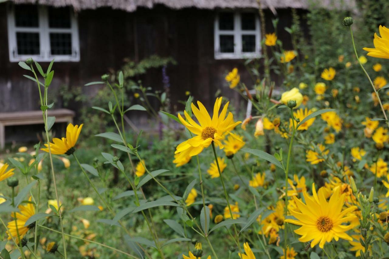 Ferienhaus Wahlers Bispingen Dış mekan fotoğraf